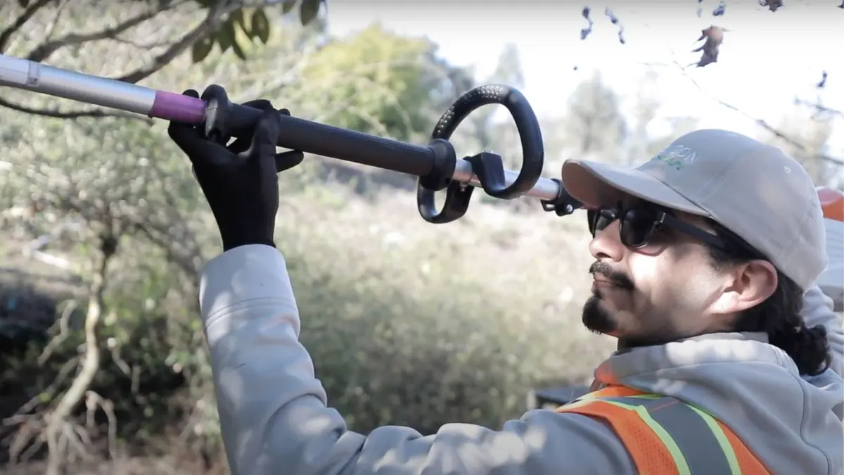Rubicon landscaper pruning with a pole saw