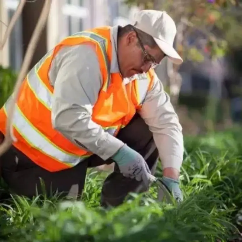 Rubicon crew member hand-weeding a planting bed