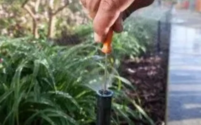 Rubicon technician fine-tuning an irrigation head in a planted bed