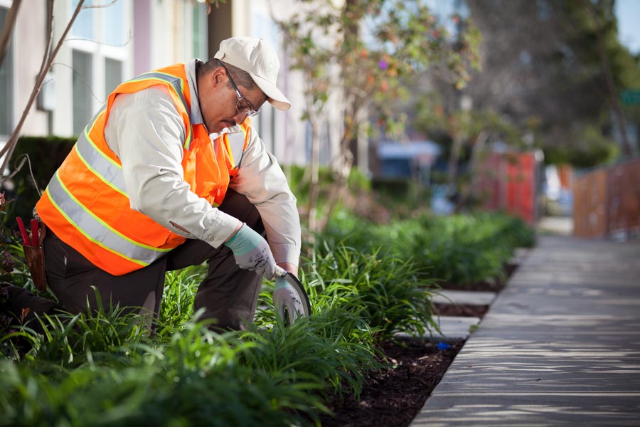 Rubicon crew member planting a bed along a landscaped walkway