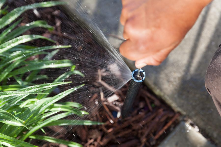 Rubicon technician adjusting a sprinkler head in a mulched planting bed