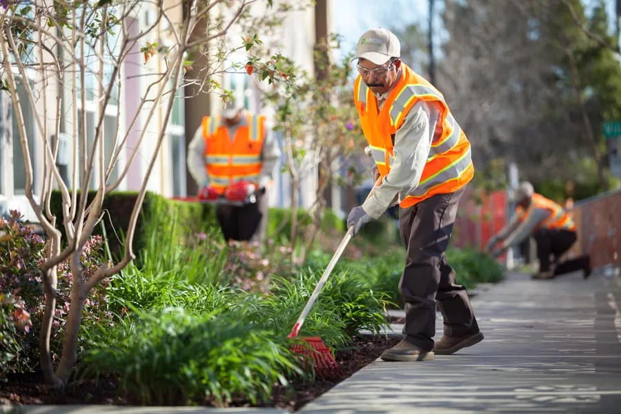 Rubicon crew caring for streetscape planting beds